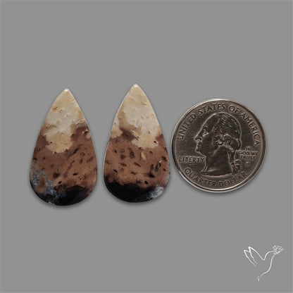 Indonesian Palmroot Agate Pair
