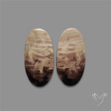 Indonesian Palmroot Agate Pair