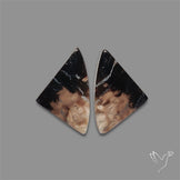 Indonesian Palmroot Agate Pair