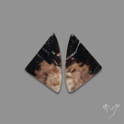 Indonesian Palmroot Agate Pair