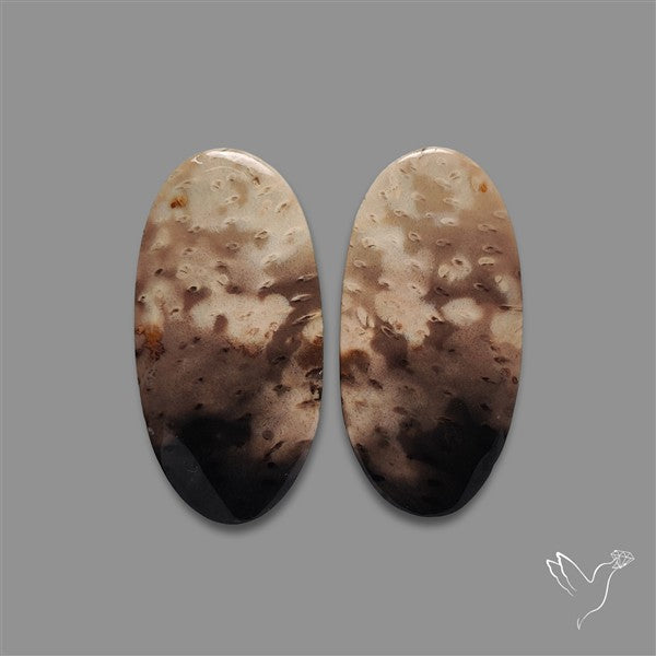 Indonesian Palmroot Agate Pair