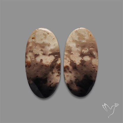 Indonesian Palmroot Agate Pair