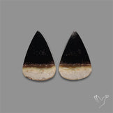 Indonesian Palmroot Agate Pair