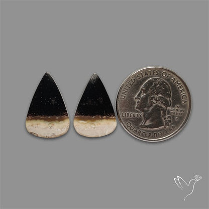 Indonesian Palmroot Agate Pair