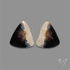 Indonesian Palmroot Agate Pair