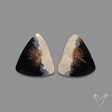 Indonesian Palmroot Agate Pair