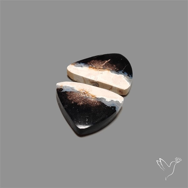 Indonesian Palmroot Agate Pair
