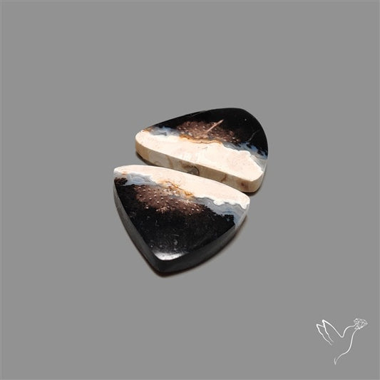Indonesian Palmroot Agate Pair