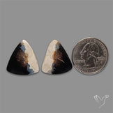Indonesian Palmroot Agate Pair