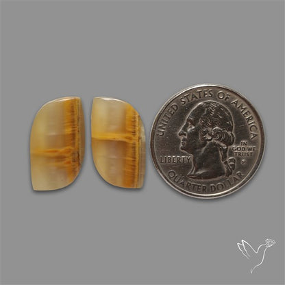 Yellow Calcite Cabochons Pair