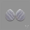 Blue Lace Agate Pair