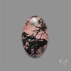 Rhodonite Cabochon