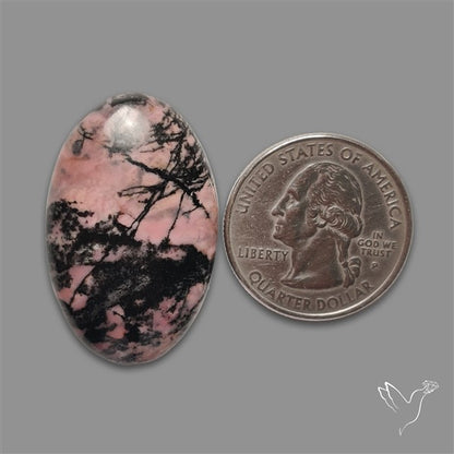 Rhodonite Cabochon