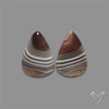 Botswana Agate Pair