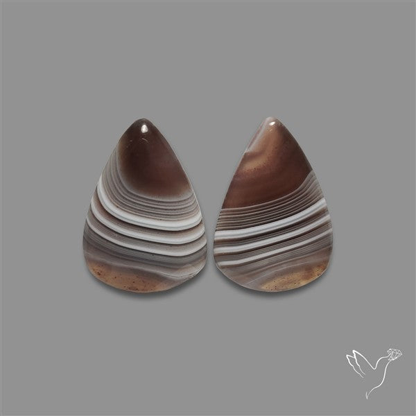 Botswana Agate Pair