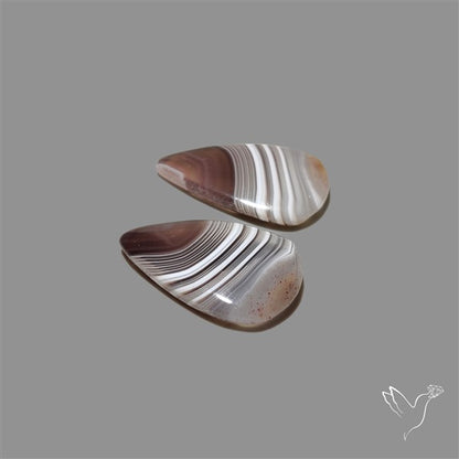 Botswana Agate Pair