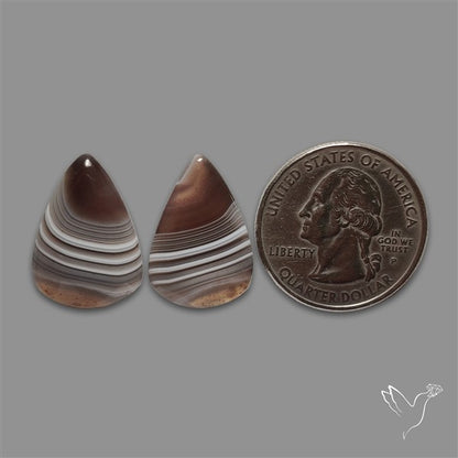 Botswana Agate Pair