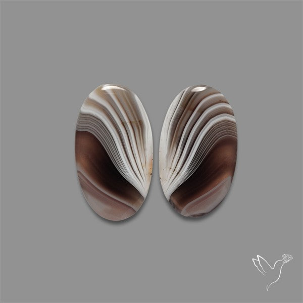 Botswana Agate Pair