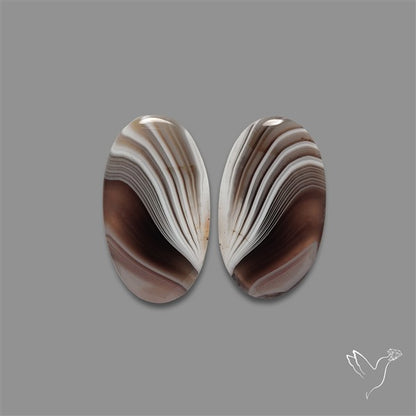 Botswana Agate Pair