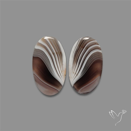 Botswana Agate Pair
