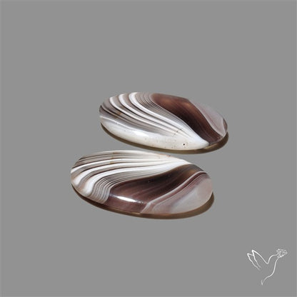 Botswana Agate Pair