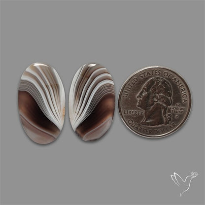 Botswana Agate Pair