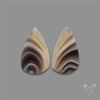 Botswana Agate Pair