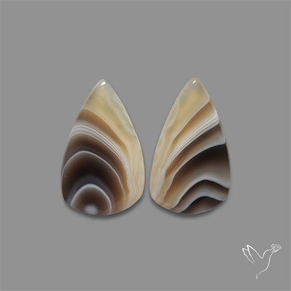 Botswana Agate Pair