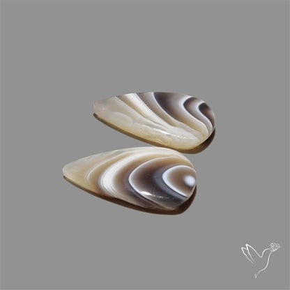 Botswana Agate Pair