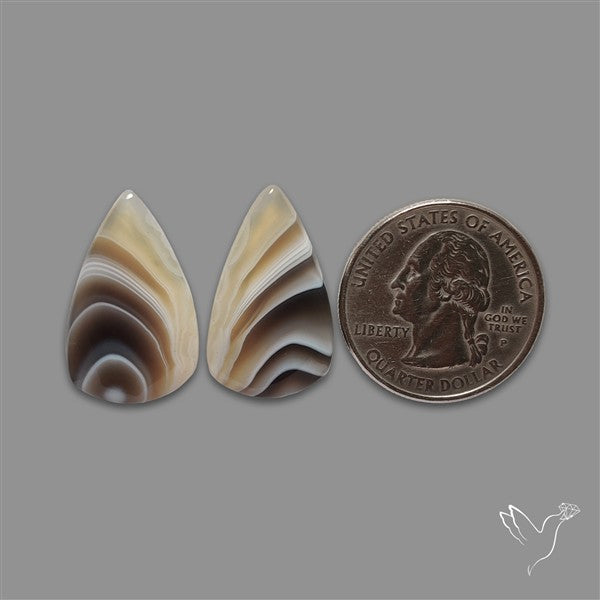 Botswana Agate Pair