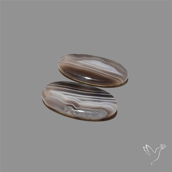 Botswana Agate Pair