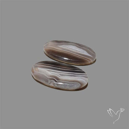 Botswana Agate Pair