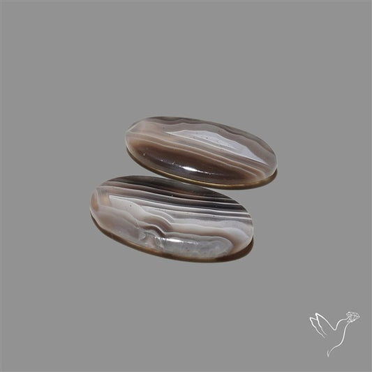 Botswana Agate Pair