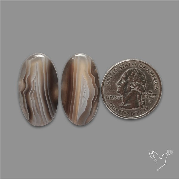 Botswana Agate Pair