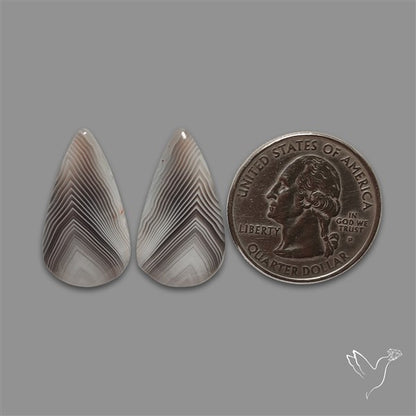 Botswana Agate Pair