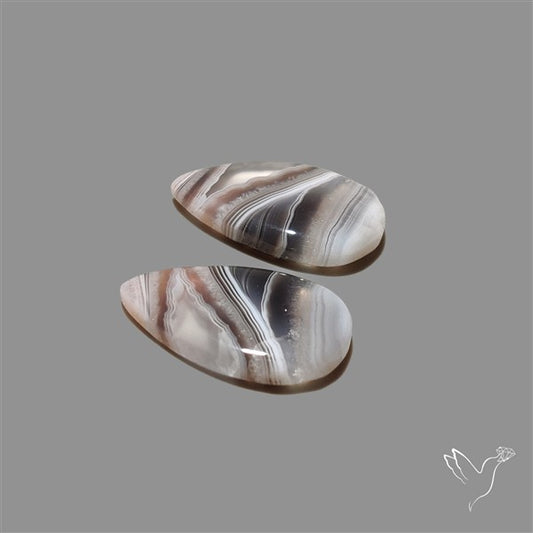 Botswana Agate Pair