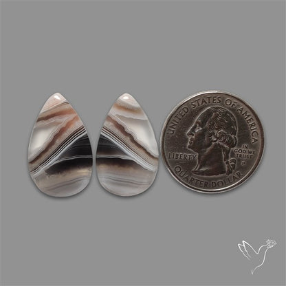 Botswana Agate Pair