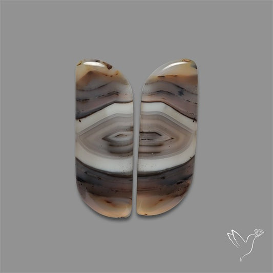 Botswana Agate Pair