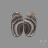 Botswana Agate Pair