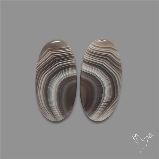Botswana Agate Pair