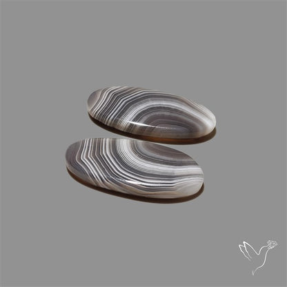Botswana Agate Pair