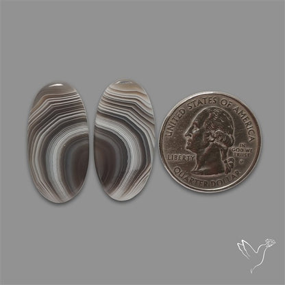 Botswana Agate Pair