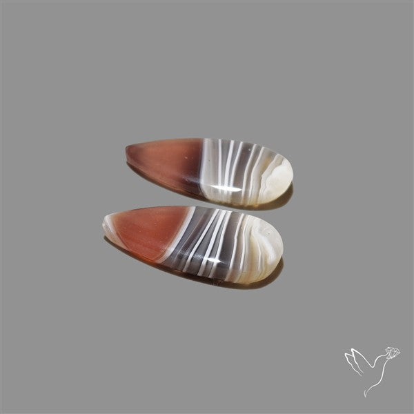 Botswana Agate Pair