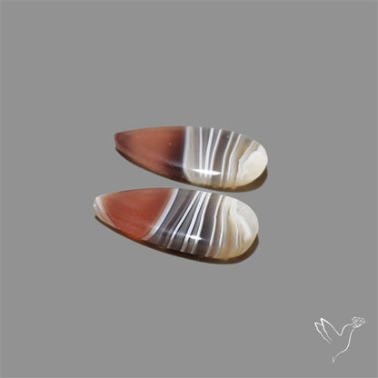 Botswana Agate Pair