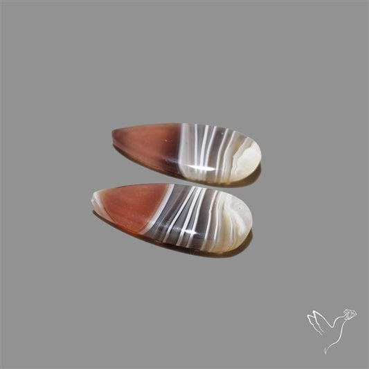 Botswana Agate Pair