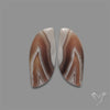 Botswana Agate Pair