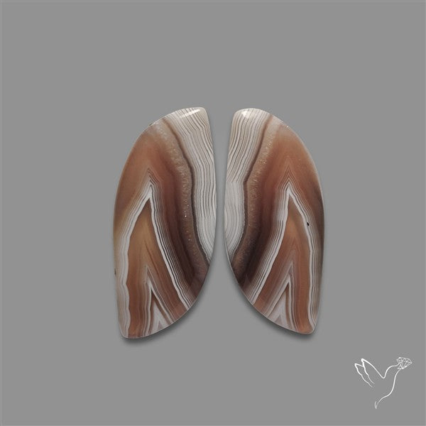 Botswana Agate Pair