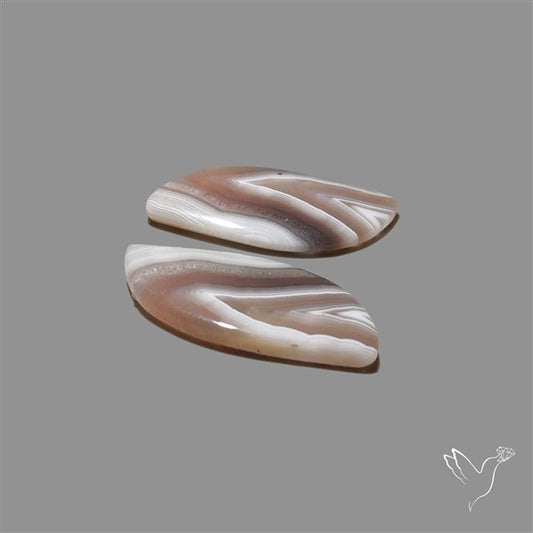 Botswana Agate Pair