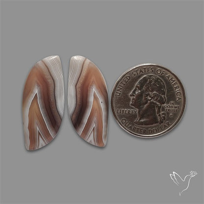 Botswana Agate Pair