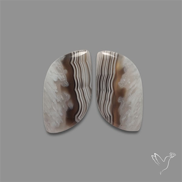 Botswana Agate Pair